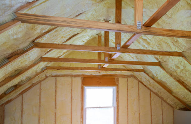 Best DIY Insulation Kits and Guidance in Ortonville, MI