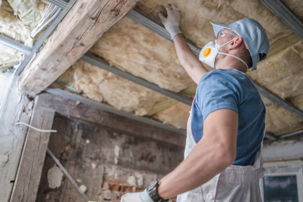 Best Energy Efficiency Insulation in Ortonville, MI