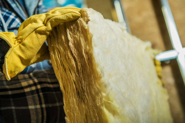 Best Commercial Insulation in Ortonville, MI
