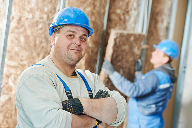 Best Insulation Maintenance and Repair in Ortonville, MI