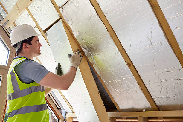 Best Specialized Insulation Services in Ortonville, MI