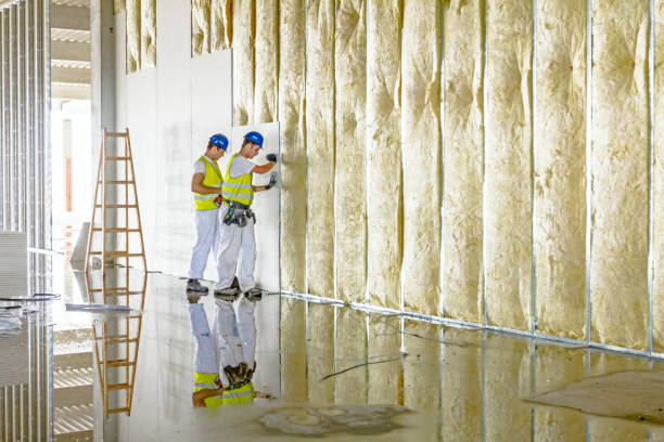 Types of Insulation We Offer in Ortonville, MI